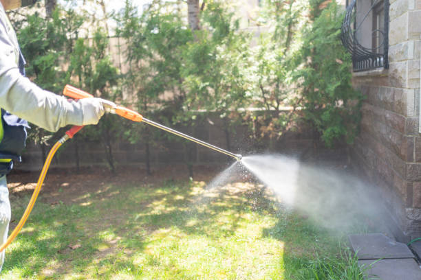 Pest Prevention Services in Kahaluu, HI